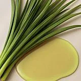 Lemongrass essential oil